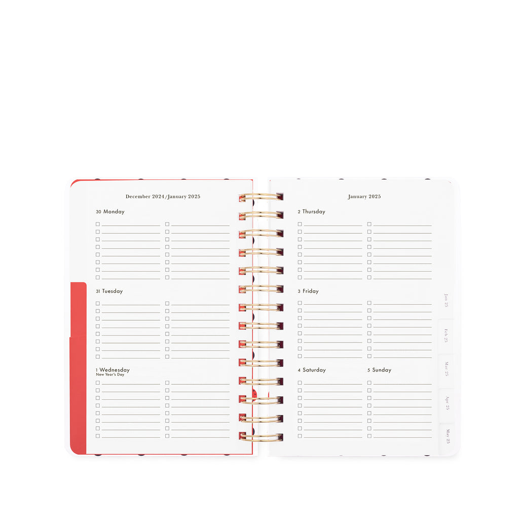 12 Month Medium Planner, Ladybug Dot